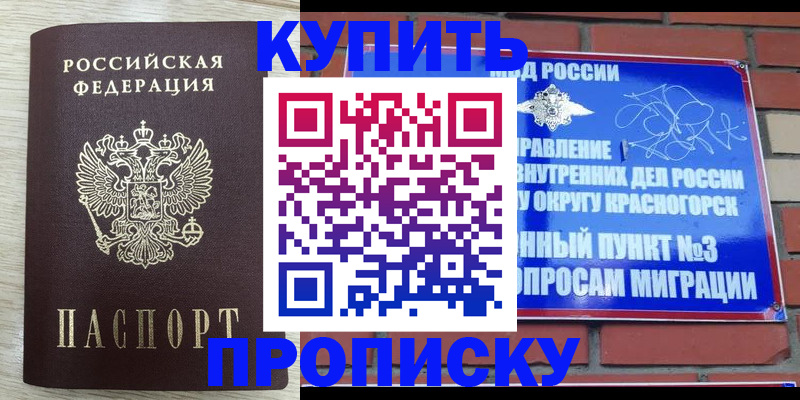прописка гарантия в Карабаново